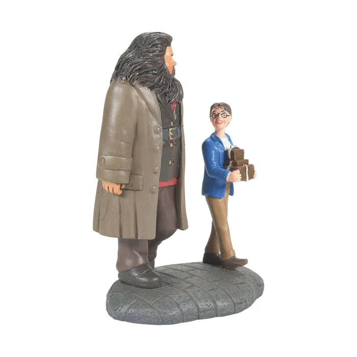 HPTVL WIZARDING EQUIPMENT