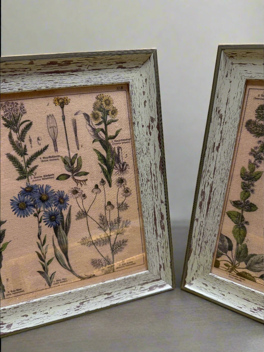 Antique Botanical Lithographs - Nifty Decor & More