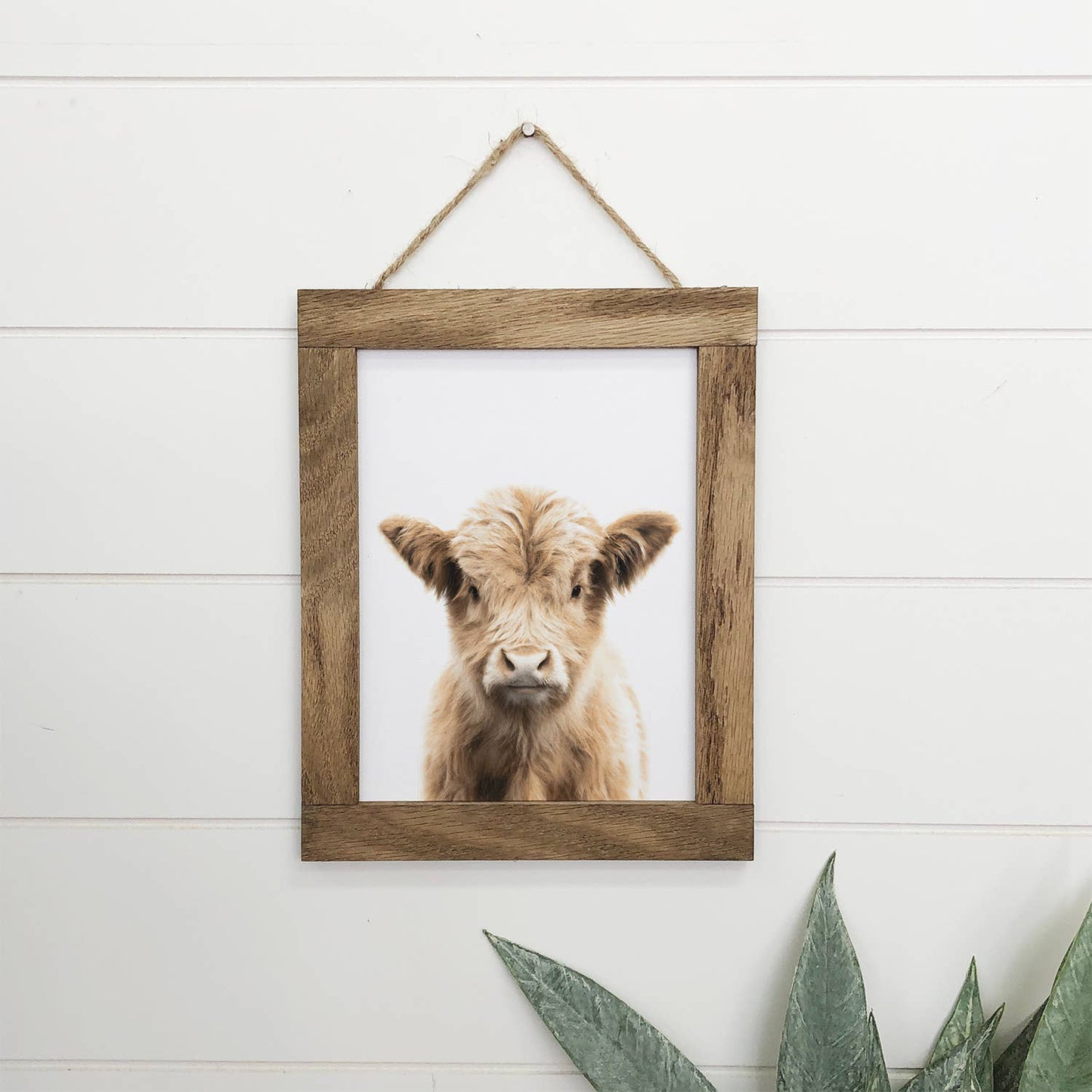 Baby Highland Cow Farmhouse Sign | Rustic Nursery Decor | Handcrafted Wooden Wall Art | Cow Lover Gift | Cute Baby Animal Decor Cow Table decor