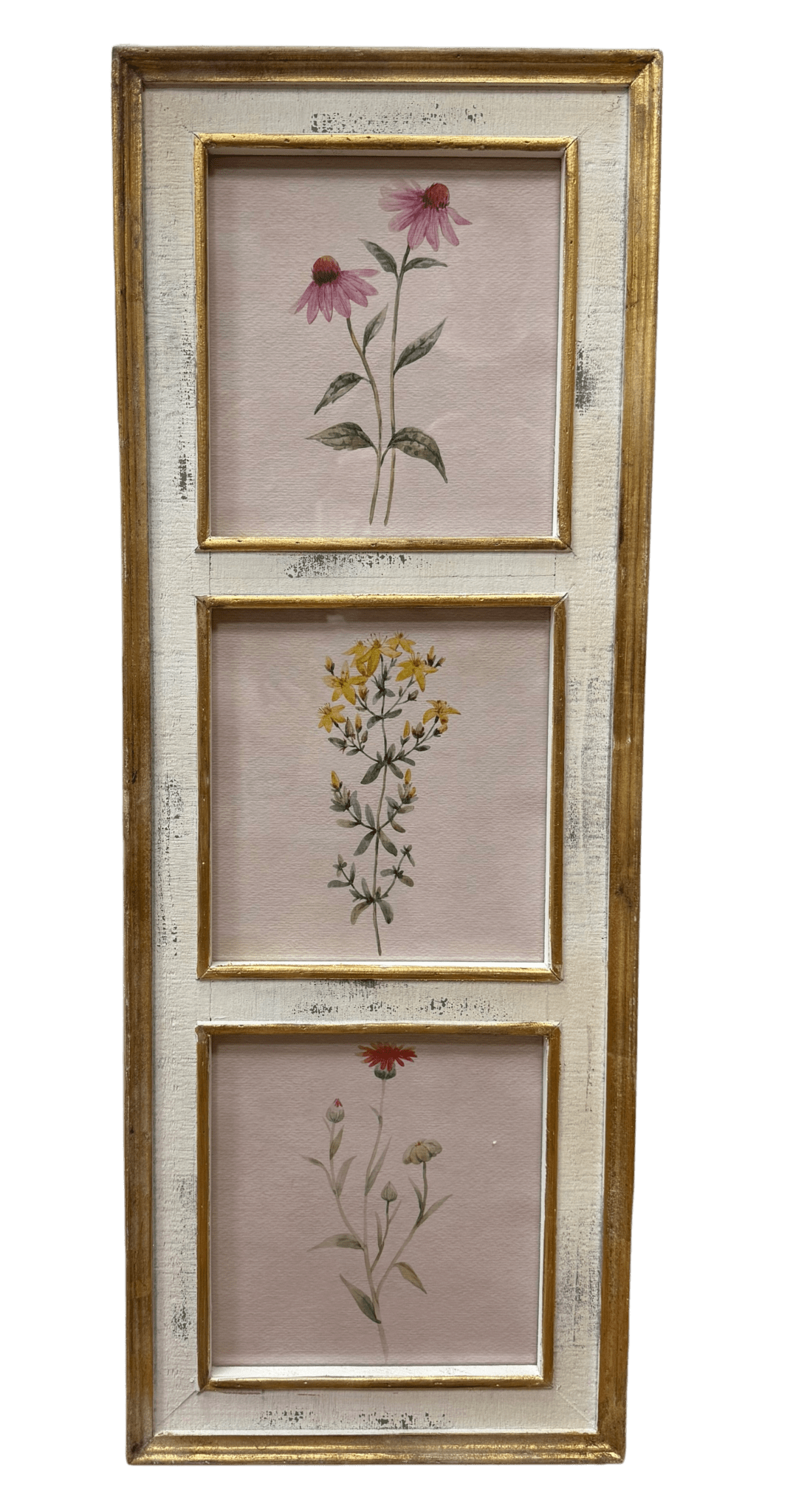 Botanical Floral Wall Art 38" Framed, Vibrant Nature Print for Home Decor, Perfect Gift for Garden Lovers - Nifty Decor & More