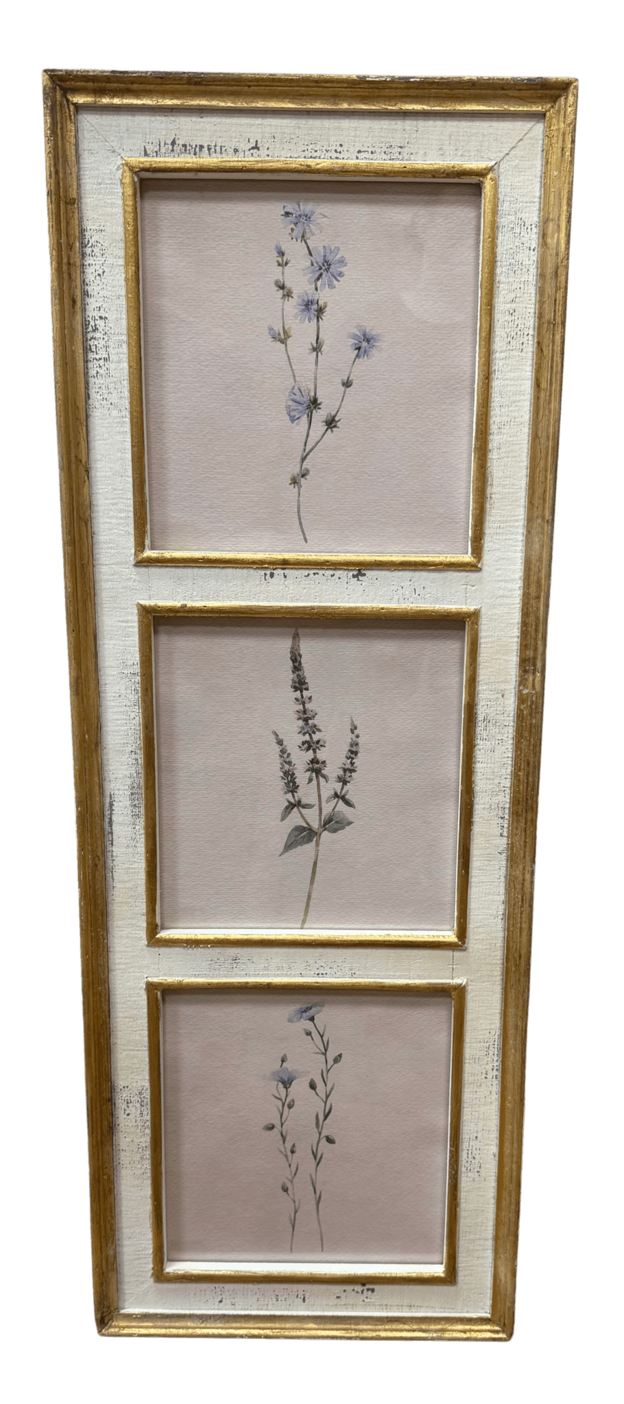 Botanical Floral Wall Art 38" Framed, Vibrant Nature Print for Home Decor, Perfect Gift for Garden Lovers - Nifty Decor & More