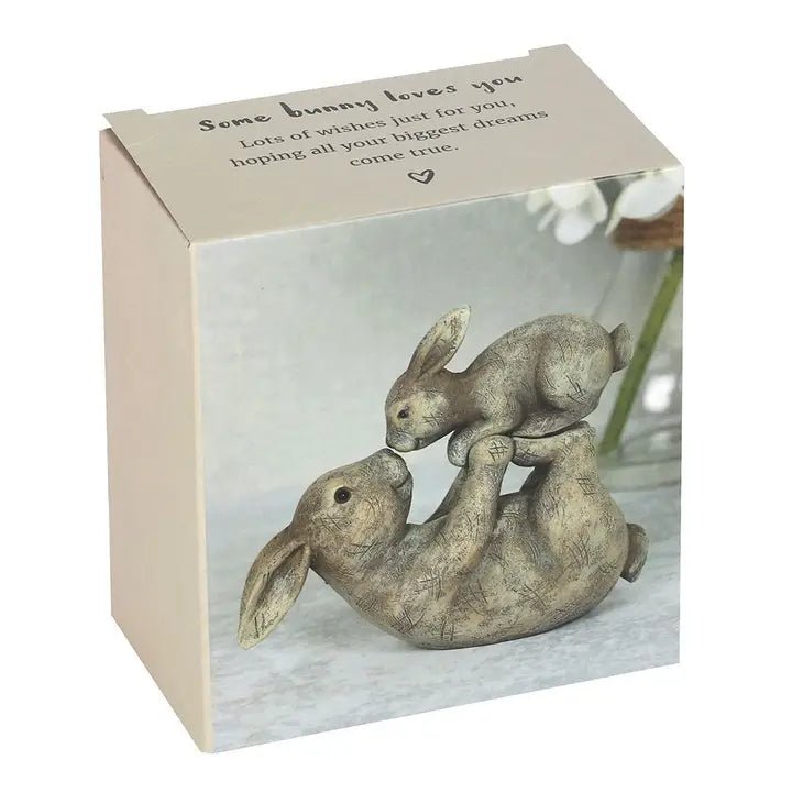 Some Bunny Loves You Easter Figurine - Cute Resin Rabbit Decor for Spring, Easter Gifts & Home Decoration - Nifty Decor & More