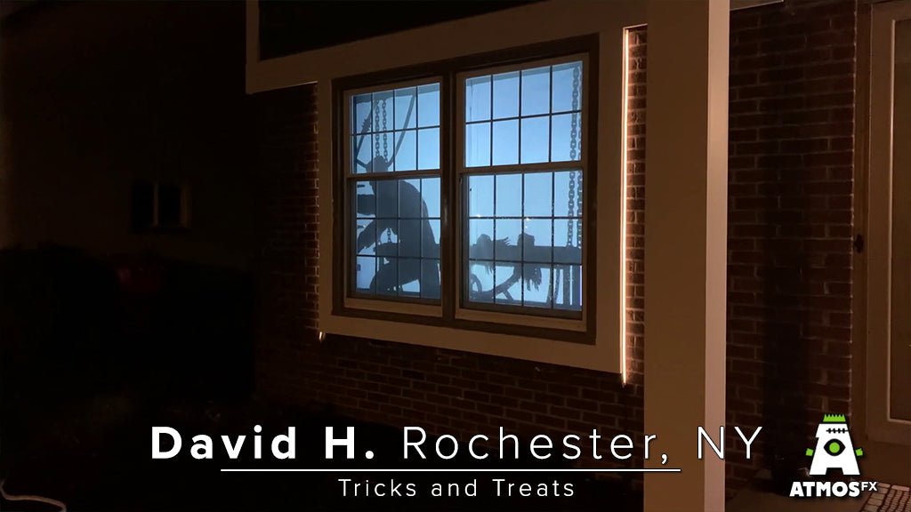 Tricks and Treats Decoration Collection