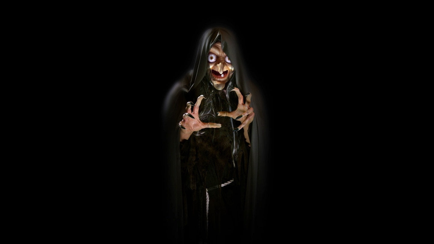 Witching Hour Decoration Collection