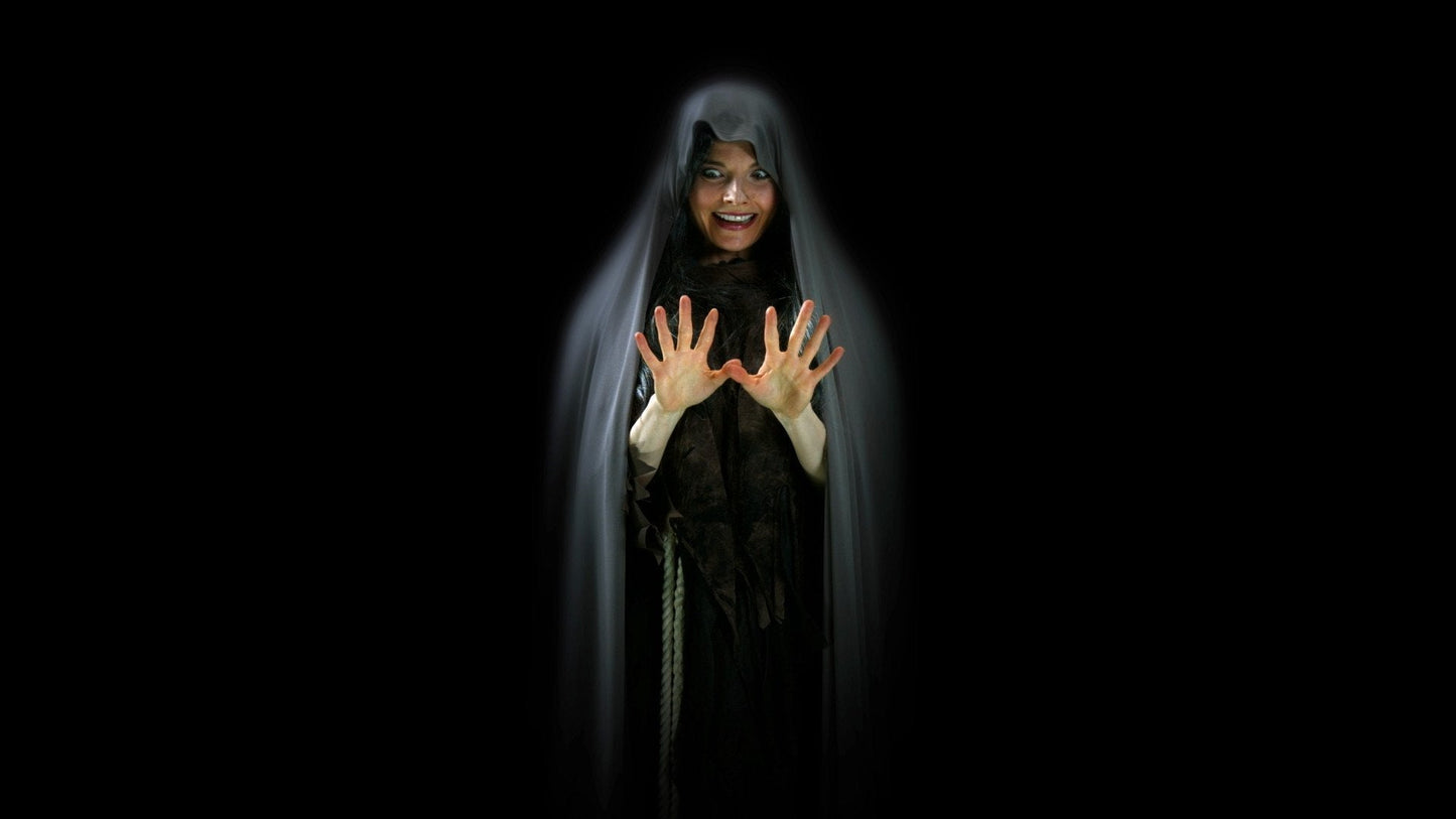 Witching Hour Decoration Collection
