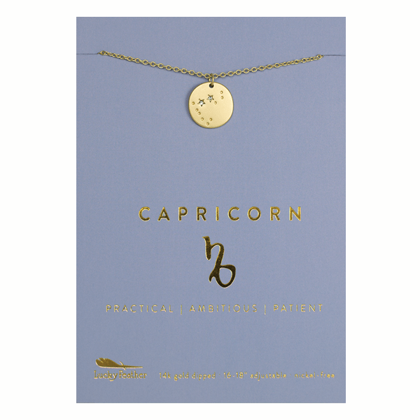 CAPRICORN Zodiac Necklace - Gold - (Dec 22-Jan 19) Zodiac Necklace