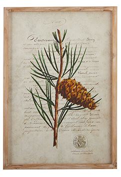 22" Pinecone Branch Framed Wood Wall Art - Rustic Winter Print by Tina Higgins - Nifty Decor & More
