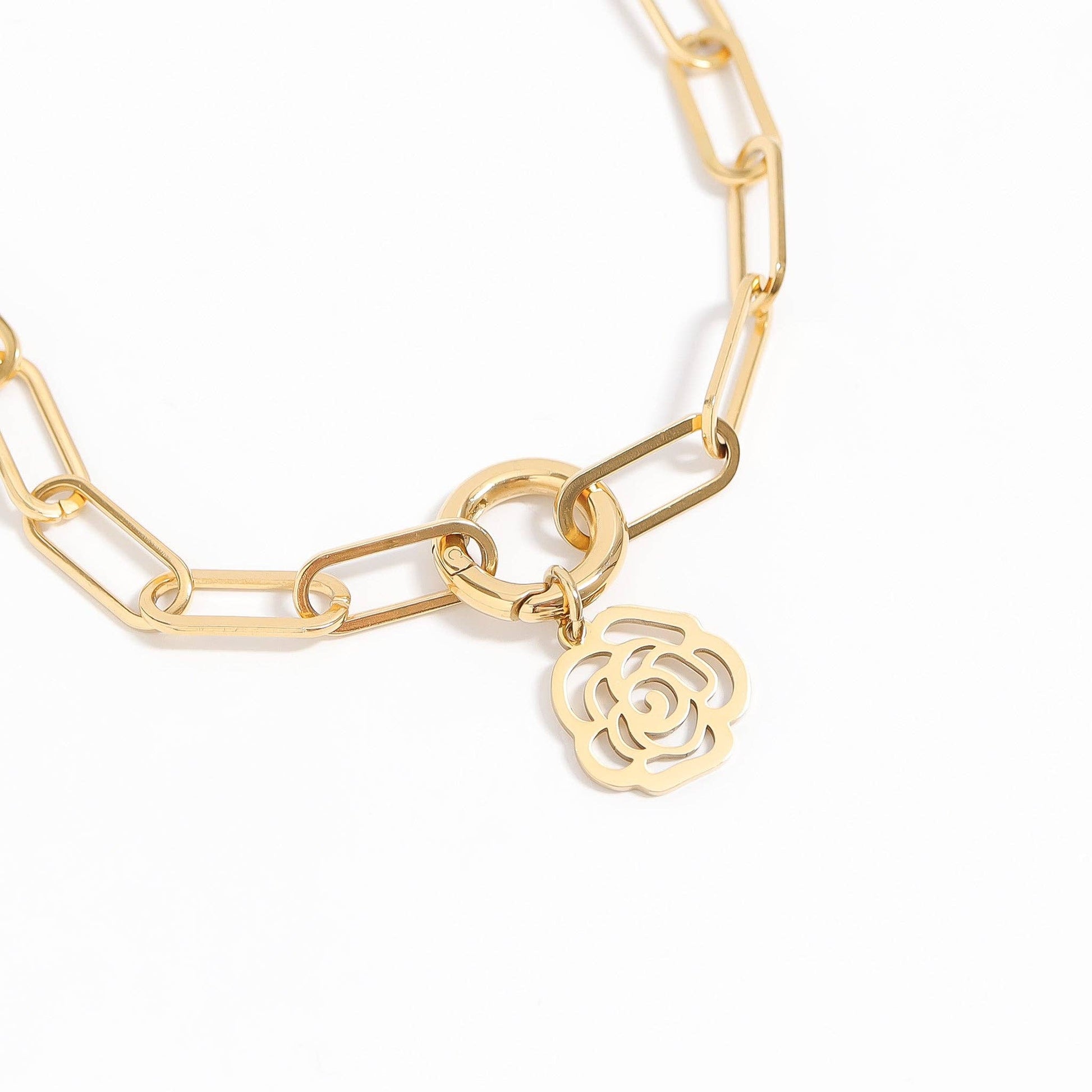 18K Gold PVD Stainless Steel Carabiner Variety Pack