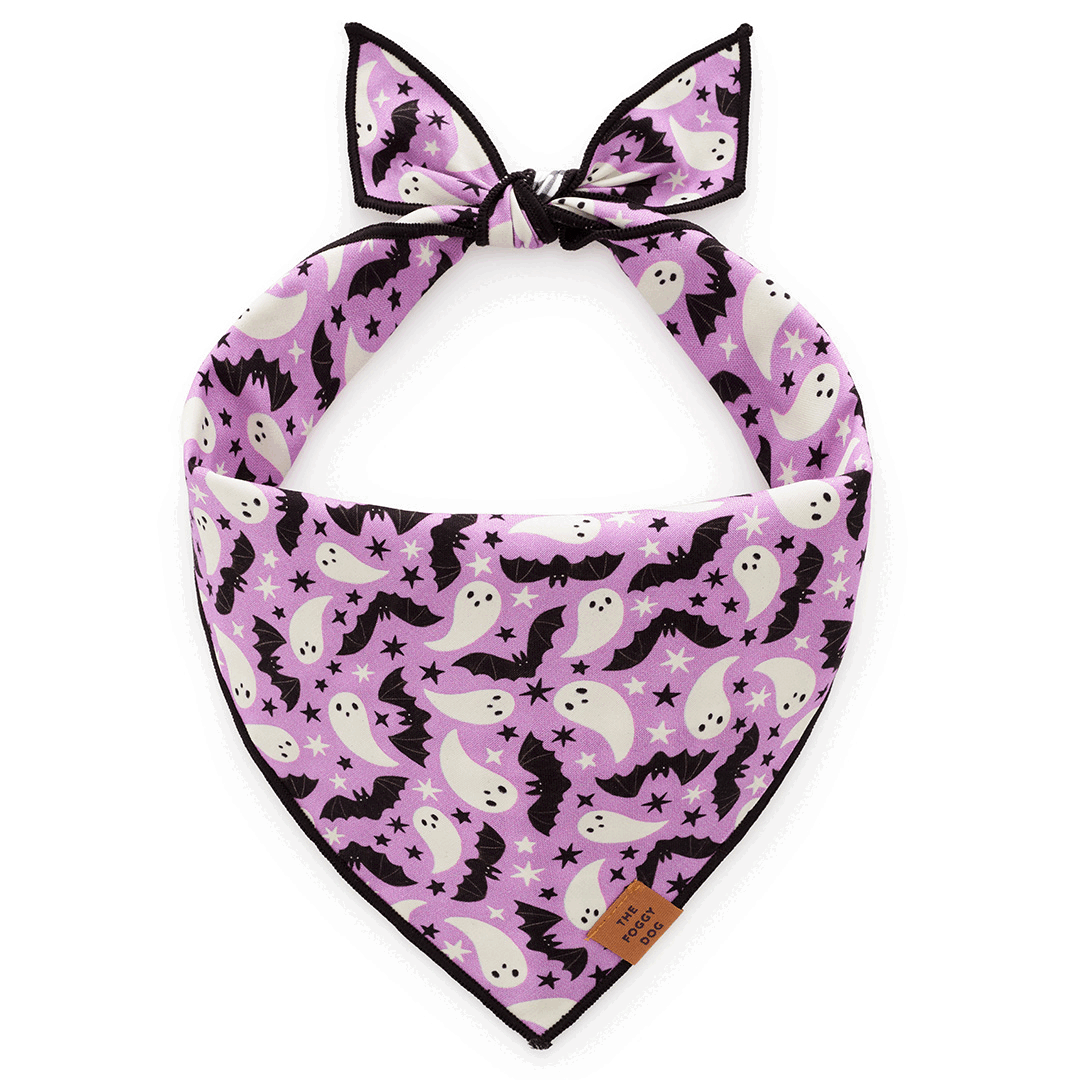 Spooky Season Reversible Glow-in-the-Dark Dog Bandana