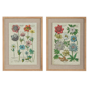 Vintage Botanical Wall Art, 18" Framed Floral Print for Home Decor, Living Room Accent, Perfect Gift for Nature Lovers Floral Wall Art