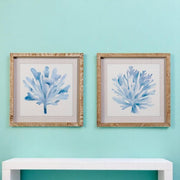 Blue Watercolor Coral Framed Wall Art, 16" Coastal Home Decor, Perfect Beach House Accent, Nautical Gift for Ocean Lovers Ocean Wall Art