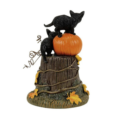 50th Feline Noir, 2026 - Nifty Decor & More