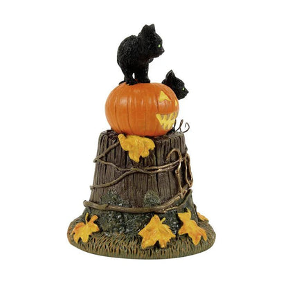 50th Feline Noir, 2026 - Nifty Decor & More