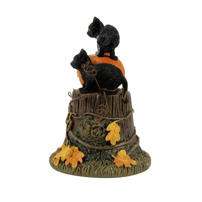 50th Feline Noir, 2026 - Nifty Decor & More