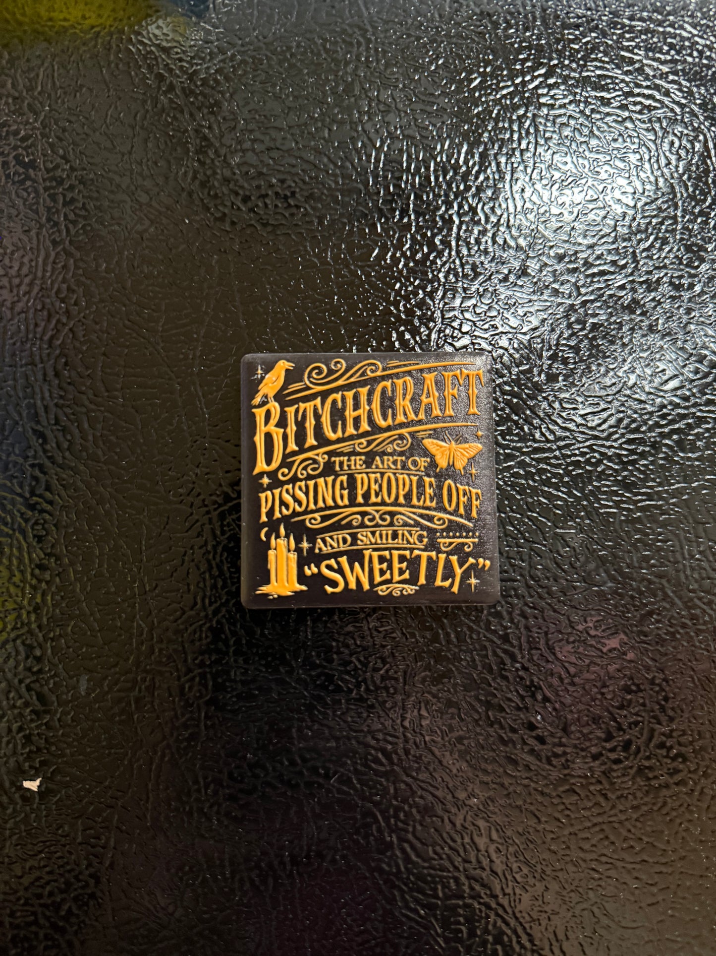 B*tchcraft Magnet