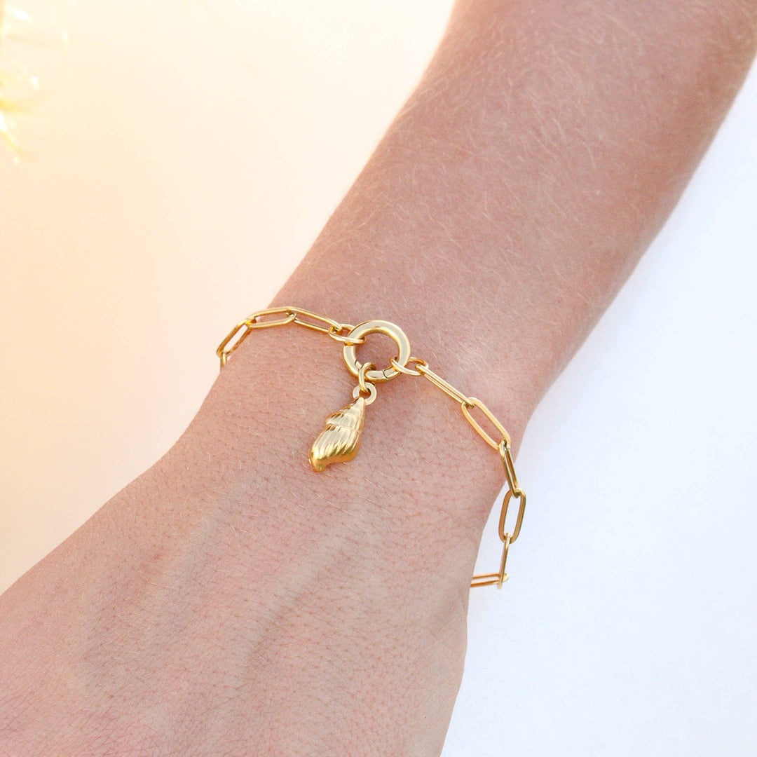 Charm Keeper Paperclip Bracelet, Stainless Steel, Elegant Gift for Mom, Mother's Day Special, Preppy Women's Accessory