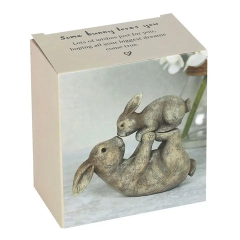 Some Bunny Loves You Easter Figurine - Cute Resin Rabbit Decor for Spring, Easter Gifts & Home Decoration Table decor