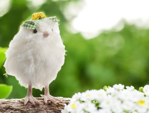 7" White Fluffy Chick Home Decor | Cute & Cozy Spring Decoration | Adorable Farmhouse Accent for Your Space Easter Shelf Sitter Green Bow