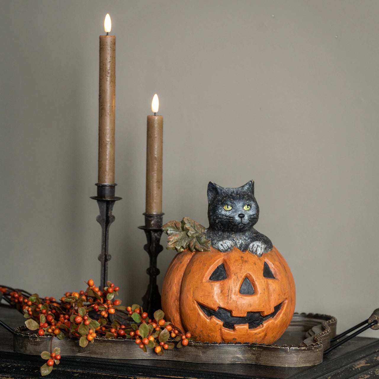 Black Cat In Jack-O-Lantern