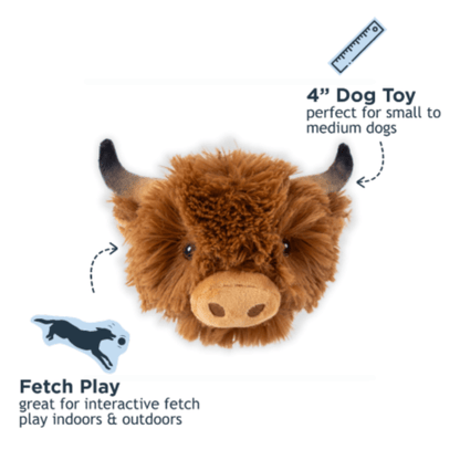 Animal Head 2 - in - 1 Fetch Ball Dog Toy - Nifty Decor & More