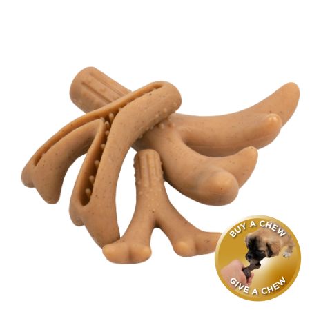 Antler Chew Dog Toy - Bacon Scented - Nifty Decor & More