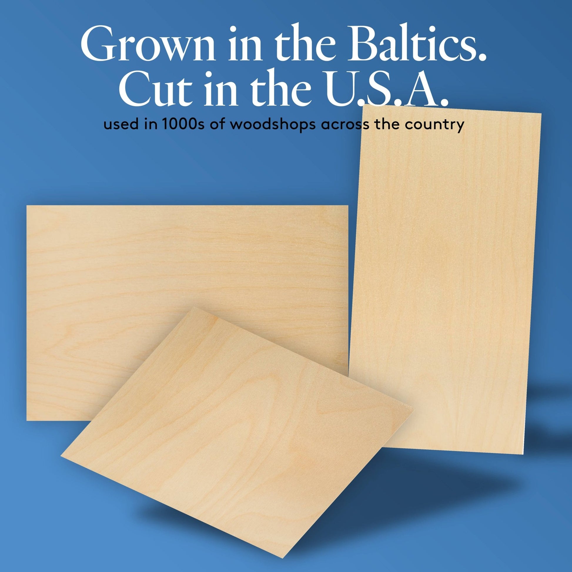 Baltic Birch Plywood