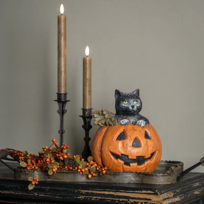 Black Cat In Jack-O-Lantern - Nifty Decor & More