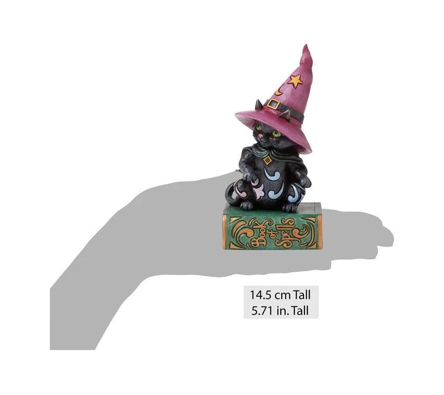 Black Cat Sitting on Book Pint - Nifty Decor & More