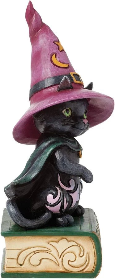 Black Cat Sitting on Book Pint - Nifty Decor & More