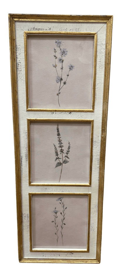 Botanical Floral Wall Art 38" Framed, Vibrant Nature Print for Home Decor, Perfect Gift for Garden Lovers - Nifty Decor & More