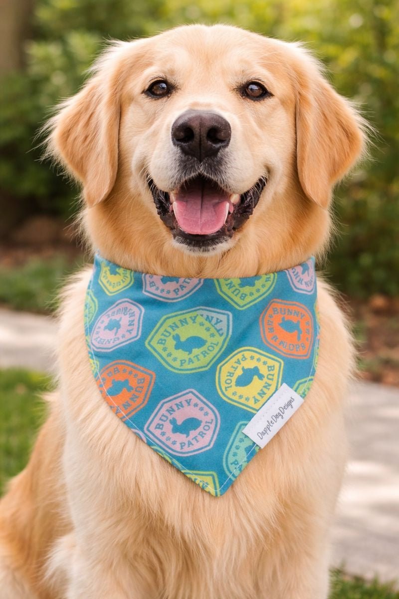 Bunny Patrol Bandana - Everyday Dog Over the Collar Bandana - Nifty Decor & More