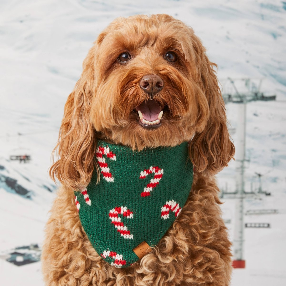 Candy Cane Knit Holiday Dog Bandana - Nifty Decor & More