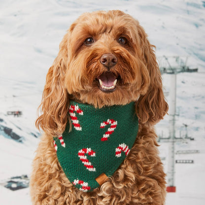 Candy Cane Knit Holiday Dog Bandana - Nifty Decor & More