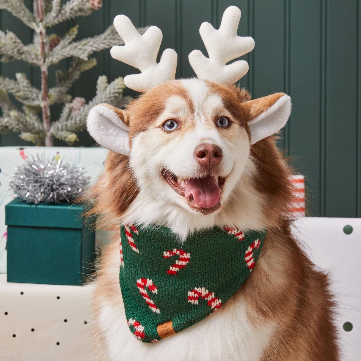 Candy Cane Knit Holiday Dog Bandana - Nifty Decor & More