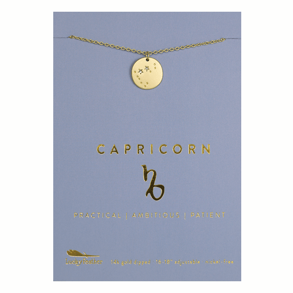 CAPRICORN Zodiac Necklace - Gold - (Dec 22 - Jan 19) - Nifty Decor & More
