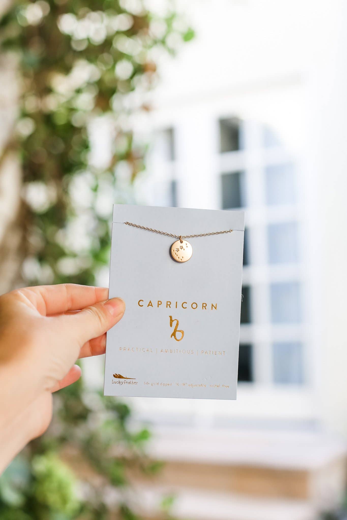 CAPRICORN Zodiac Necklace - Gold - (Dec 22 - Jan 19) - Nifty Decor & More