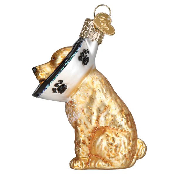 Cone Of Shame Dog Ornament - Nifty Decor & More