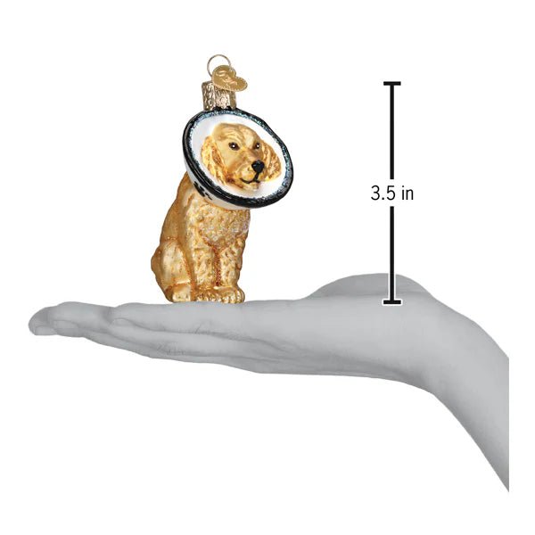 Cone Of Shame Dog Ornament - Nifty Decor & More