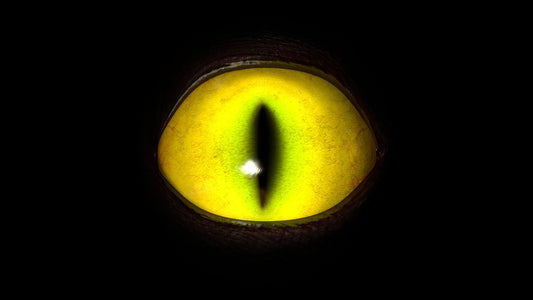 Creature Eyes Scene