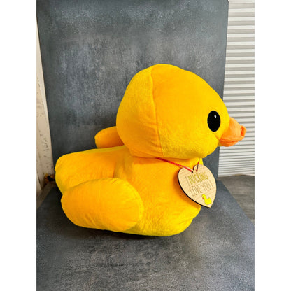 Duck. Duck. Valentine - Nifty Decor & More