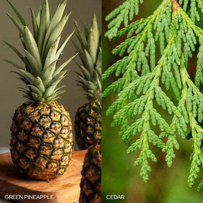 Fresh Balsam Fir Candle - Nifty Decor & More