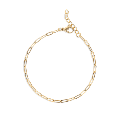 Gold Stainless Steel Paperclip Chain Bracelet + Extension: Stainless / 2.5mm - Nifty Decor & More