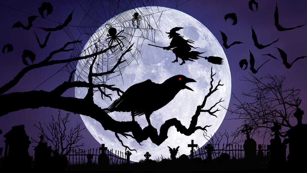 Halloween Moon Decoration Collection
