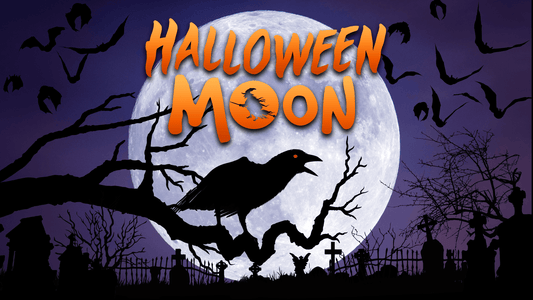 Halloween Moon Decoration Collection Digital Download
