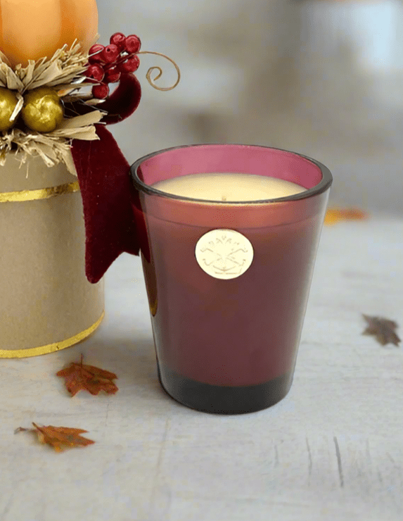 Heirloom Pumpkin 14 oz. Gift Box Candle Candle Holder