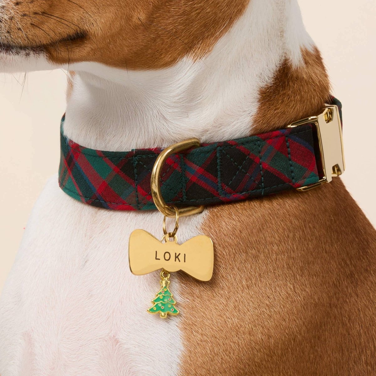 Highland Plaid Dog Collar - Nifty Decor & More