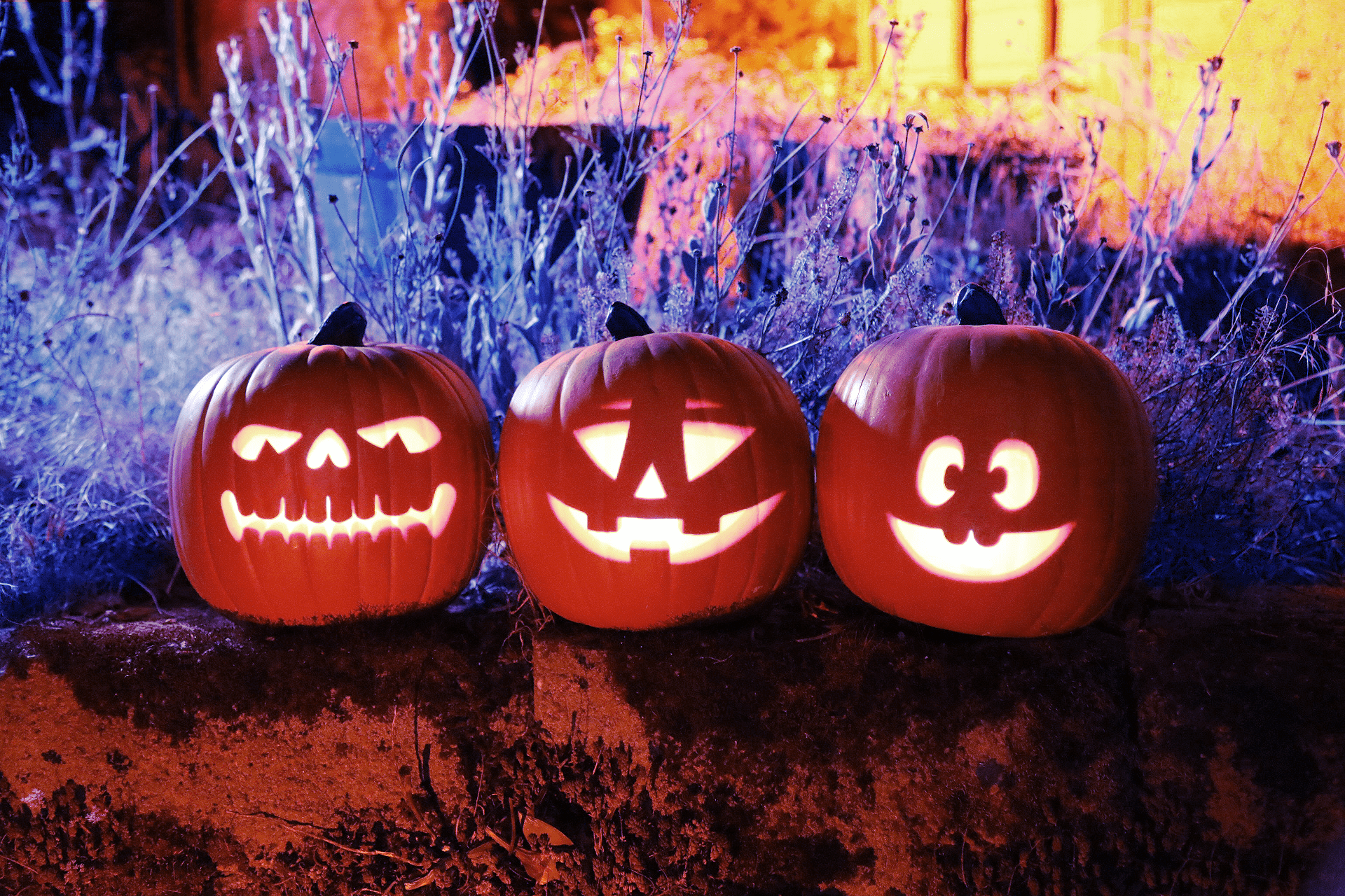 Jack-O’-Lantern Jamboree 3 Decoration Collection