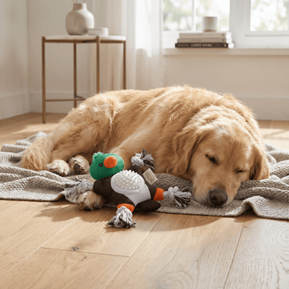 Mallard Duck 2-In-1 Fetch Tug Dog Toy - Nifty Decor & More