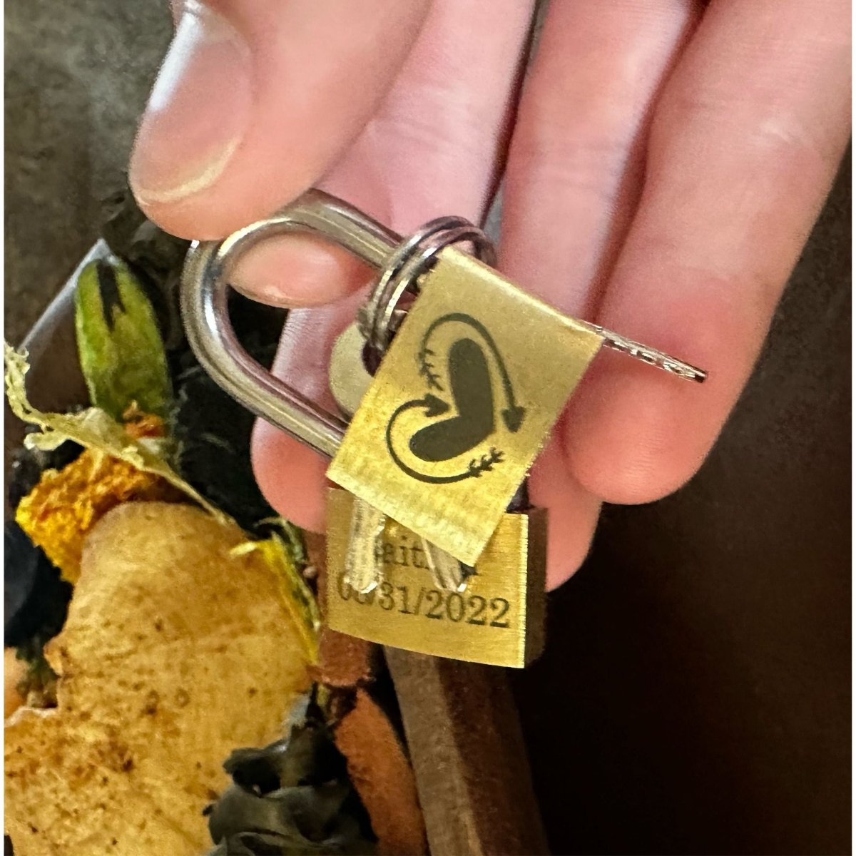 Mini Love Locks (pair) - Nifty Decor & More
