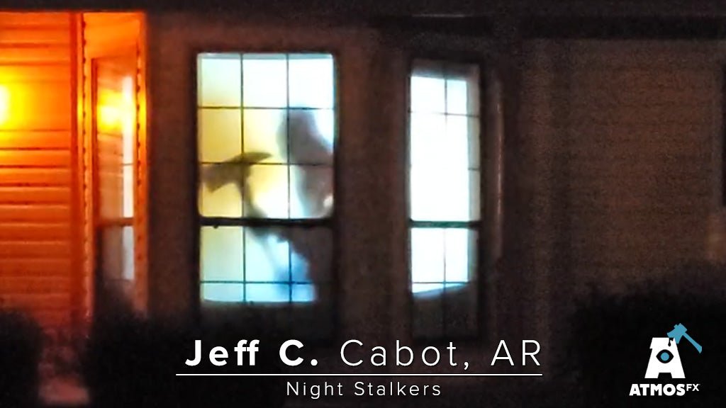 Night Stalkers Decoration Collection